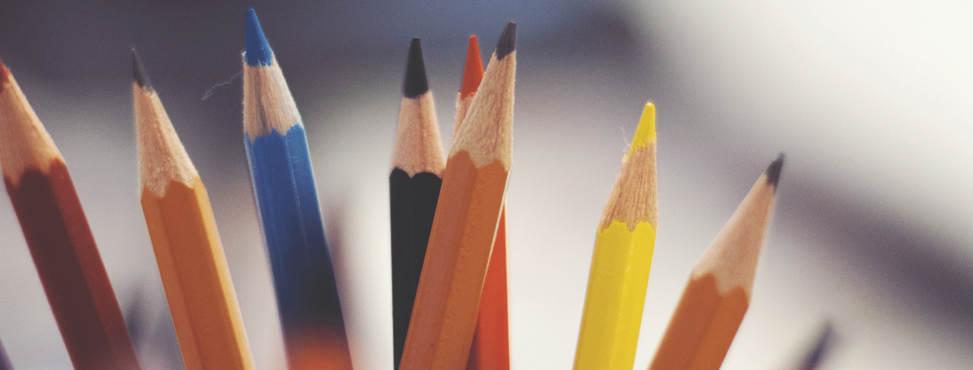 Sharpened coloured pencils