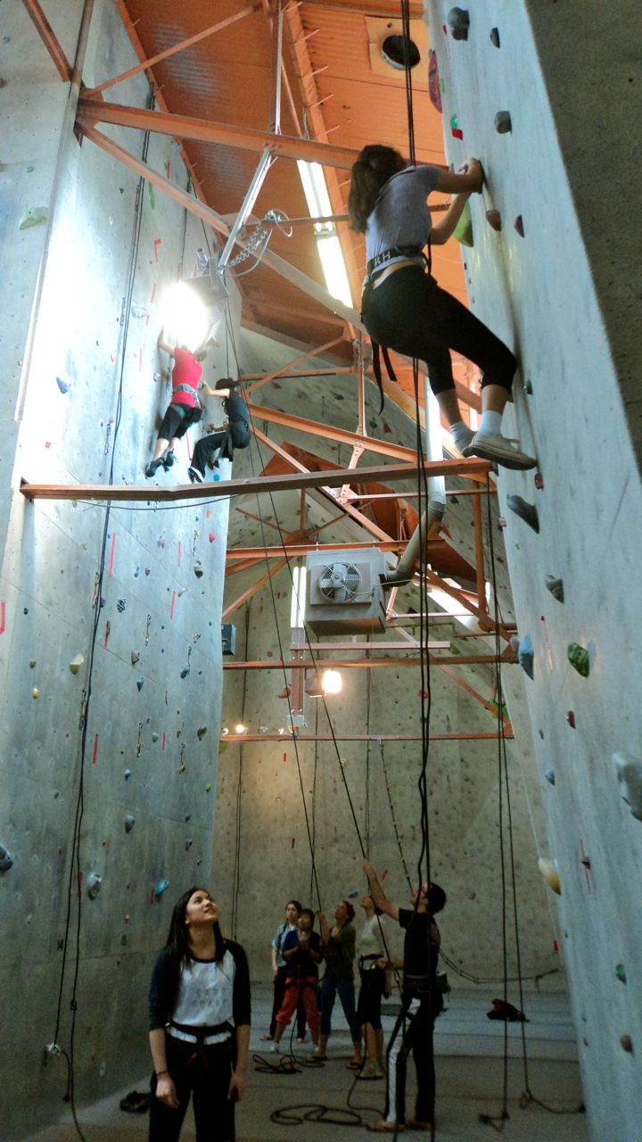 Rockin' It: The Parkdale Mentorship Program Goes Climbing Gradlife