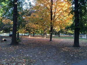 A fall walk home through Trinity Bellwoods Park