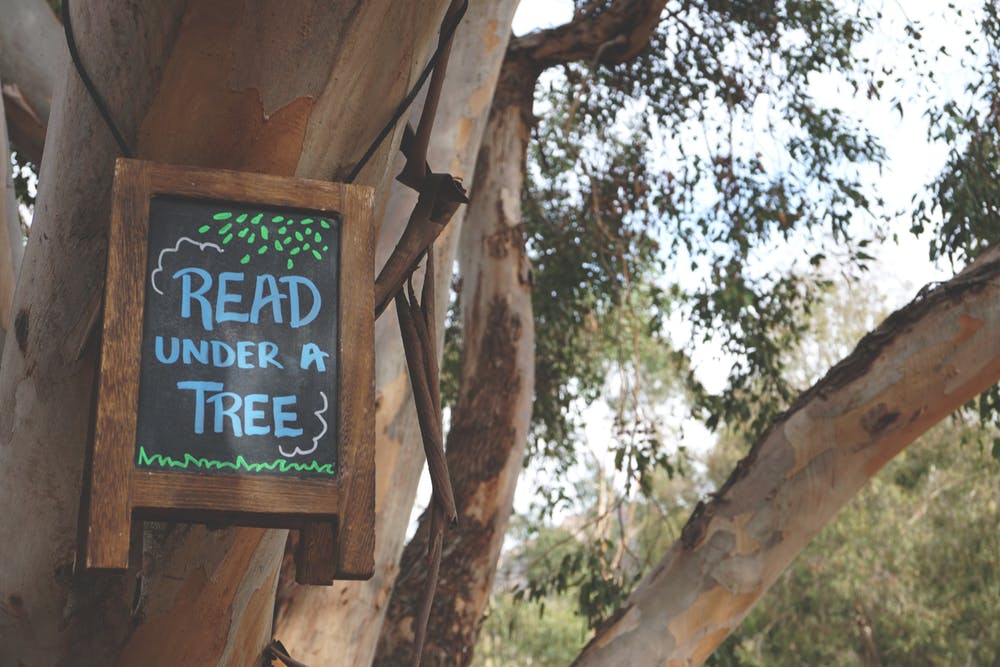 Read Under A Tree
