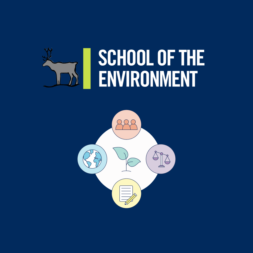 School of the Environment logo above the project icon