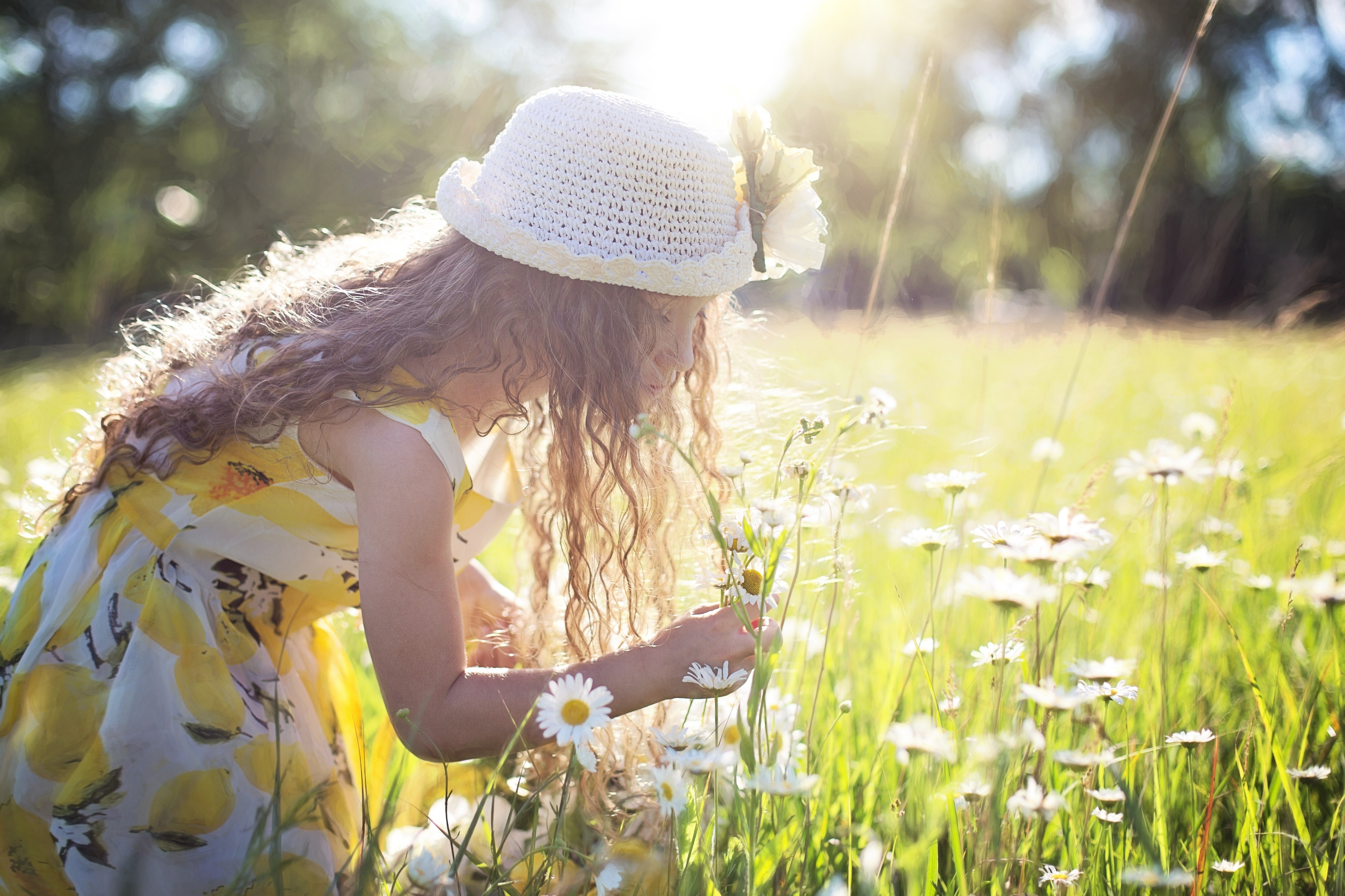 Girl picking flowers in a field