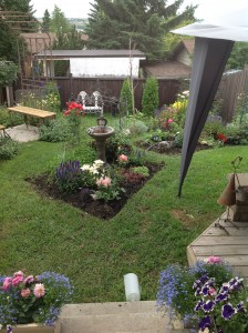 The green grass, bright flowers, and sharply defined flowerbeds of my backyard garden