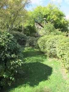 A pathway of green grass winding through a partially lit, partially shadowed greenspace of shrubs and trees