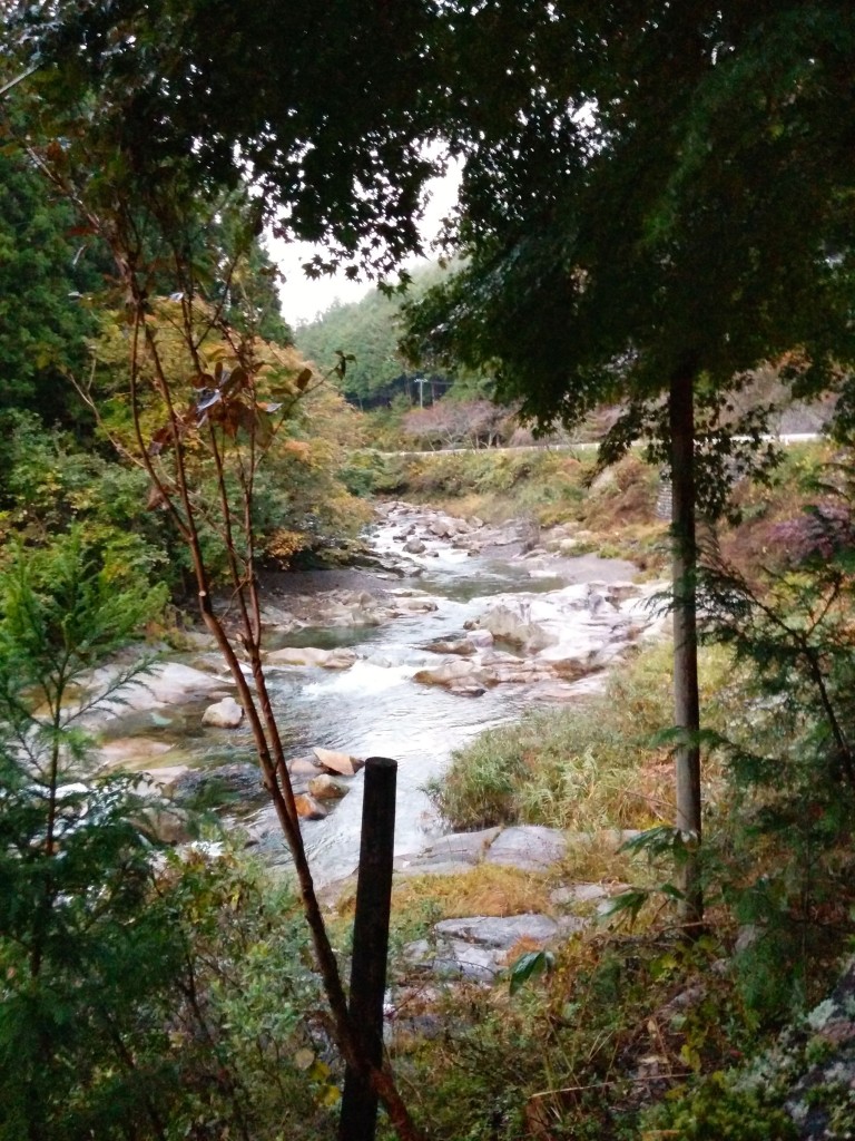 A view of a river running beside a forested mountain.