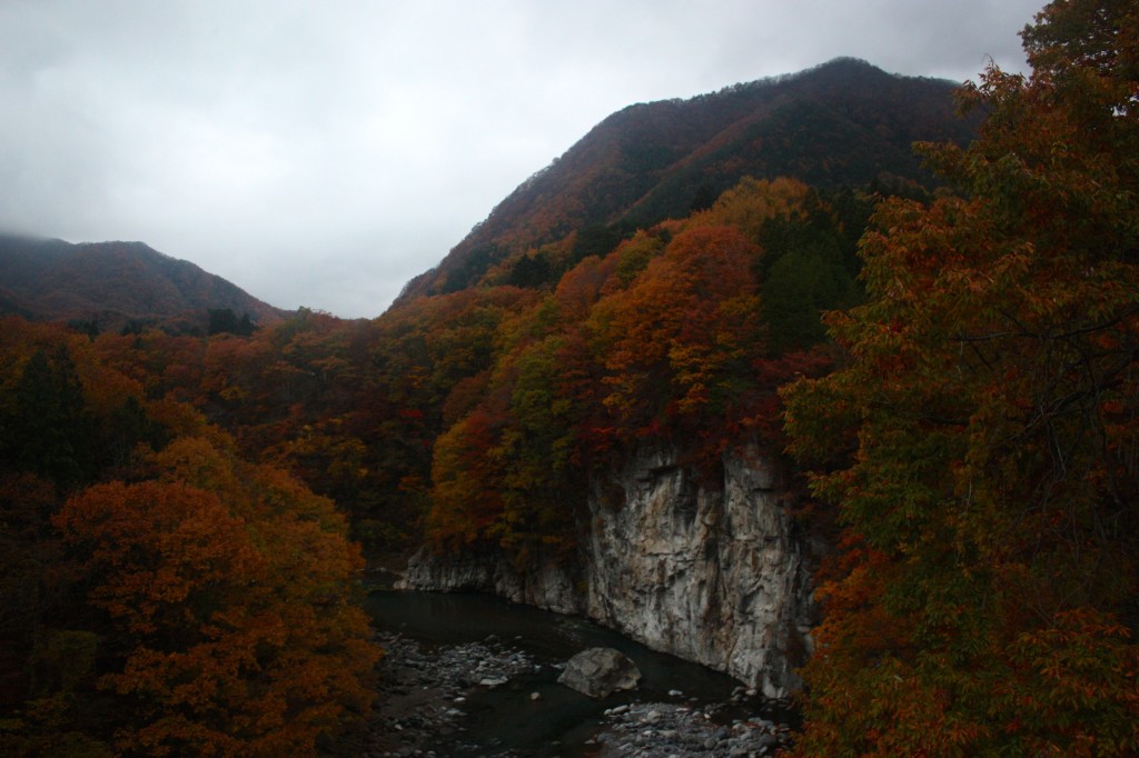 This image shows mountain featuring autumn foliage.