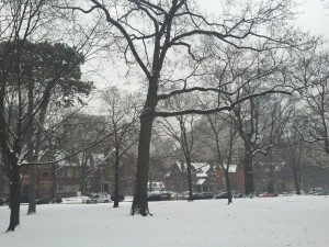 A very snowy day, with grey skies and heavy snowfall, looking across a white and fluffy Queen's Park to the west, at some of the old red brick houses of St. Michaels College, and the grey towers beyond