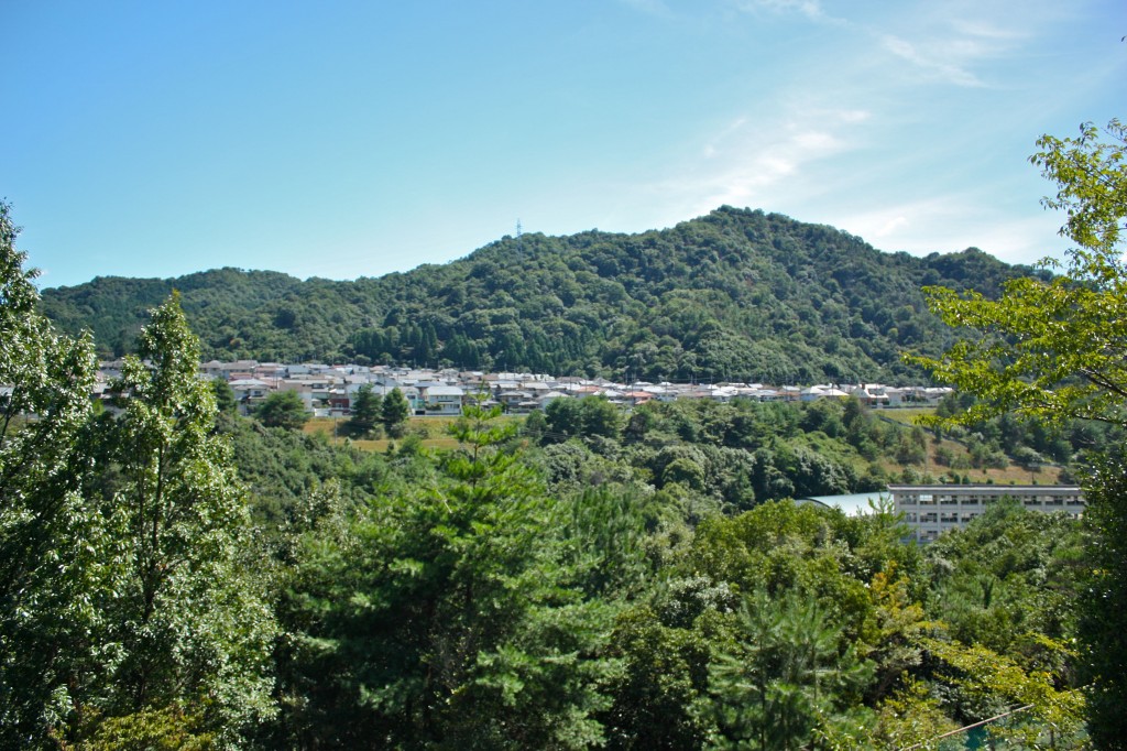 This image shows a forested mountain featuring houses on its side.