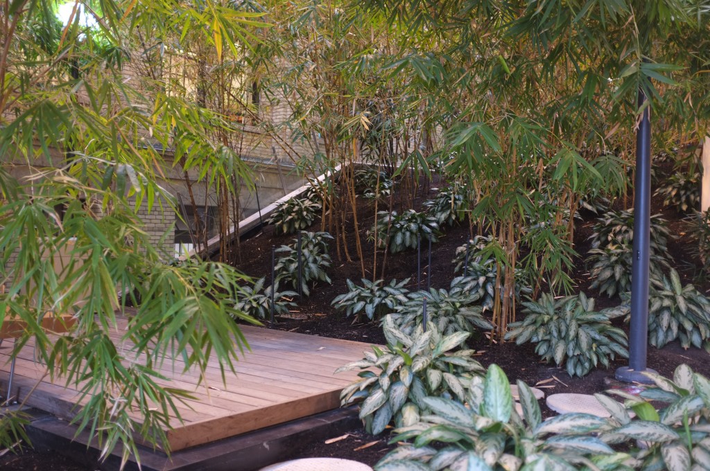 an indoor bamboo garden is shown, lots of plants frame a wooden platform with benches