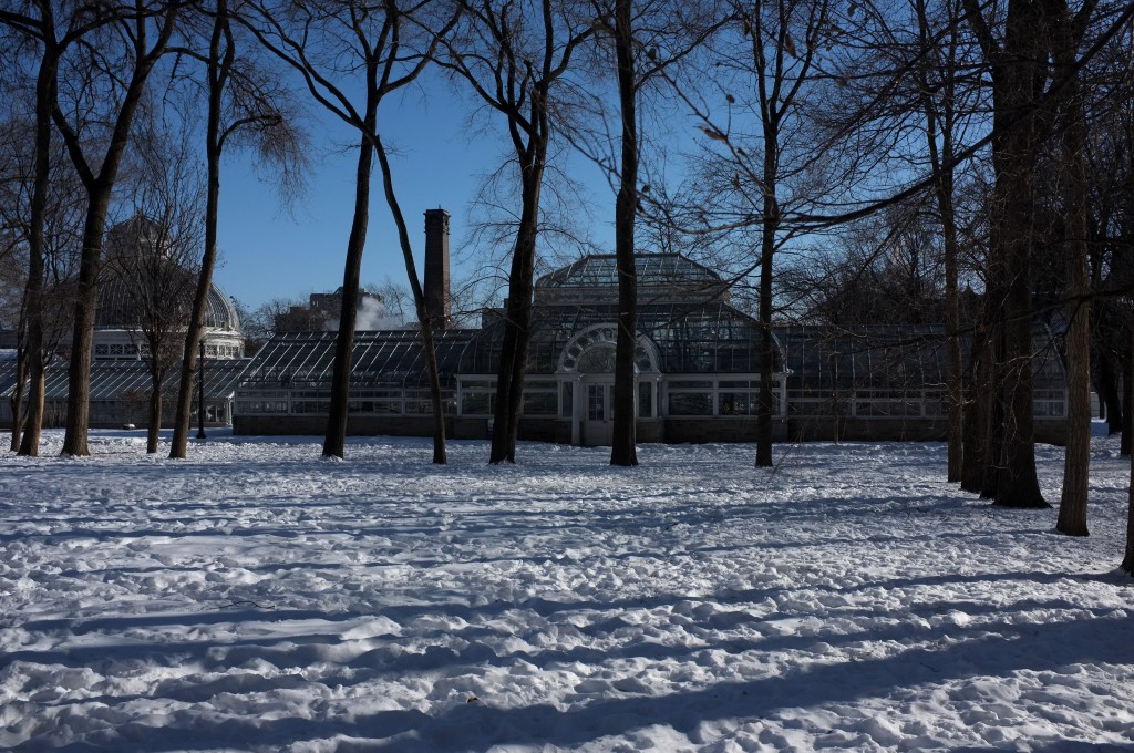 a glass greenhouse is seen in the distance. in front of it are 5 bare trees and a whole lot of snow