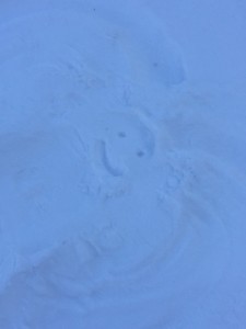 Looking down at the head of my Snow Zach, at a little smiley face I drew with my frozen finger