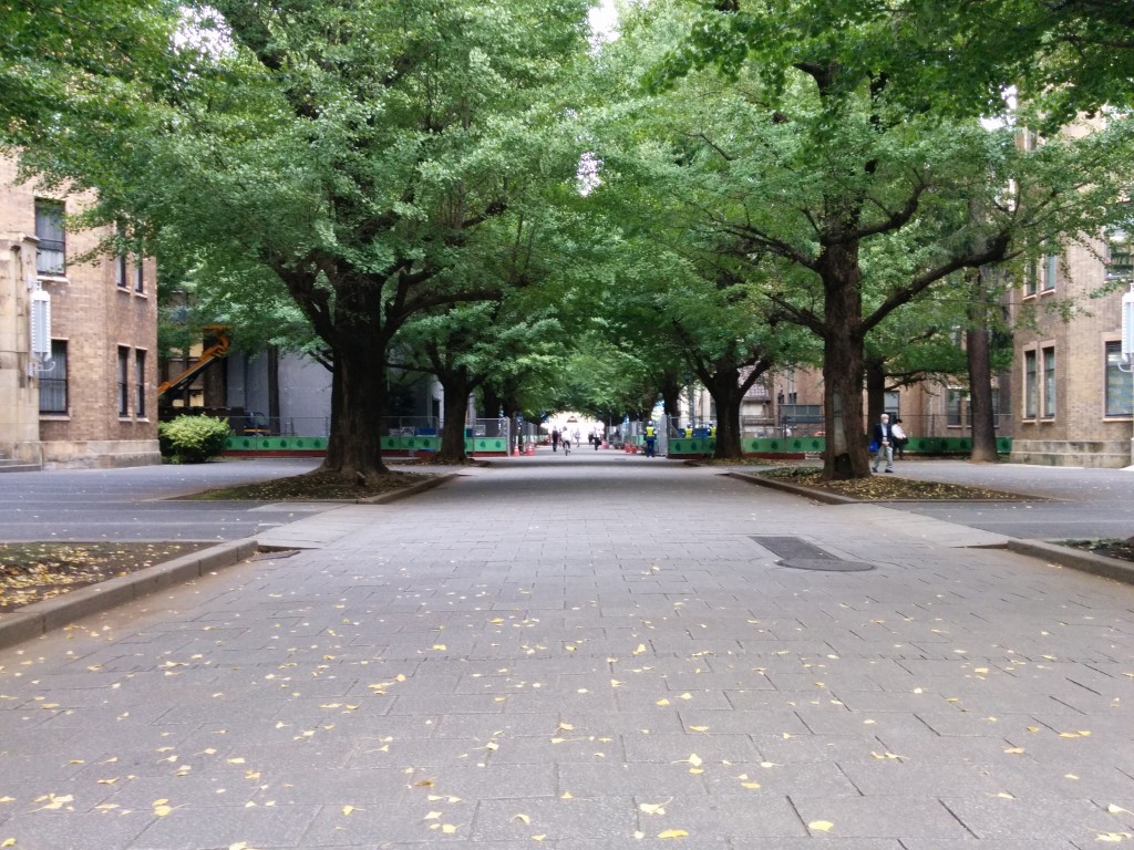 This image shows the entryway to the University of Tokyo's Hongo Campus. It features a concrete path lines with green-leafed trees and brown brick buildings.