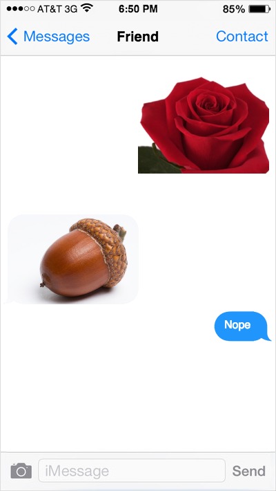 Text message conversation. Friend 1 sends a picture of a rose (ROSI) and Friend 2 replies with a picture of an ACORN. Friend 1 who is a ROSI old-timer and hates change  replies back with an abrupt "Nope"