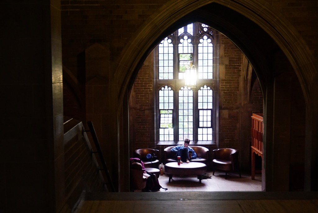 photo of a person studying in a little nook