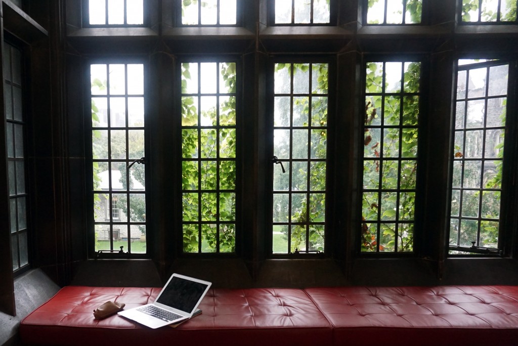 photo of a laptop on a bench in front of an ivy covered window