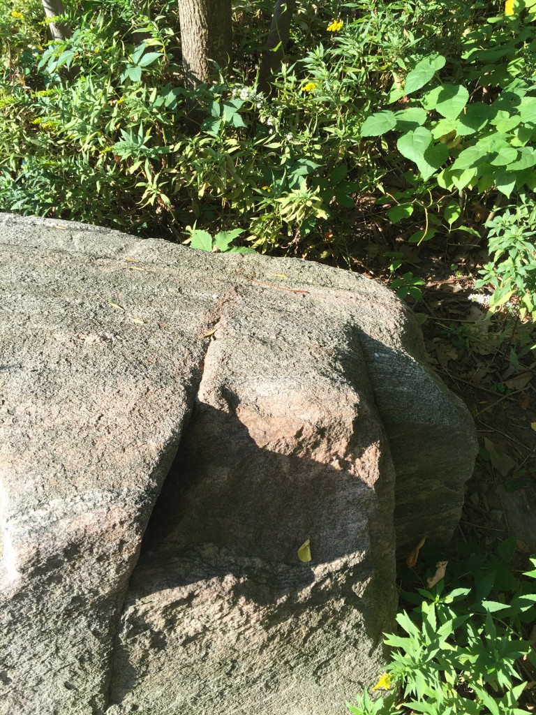 A picture of a rock on campus, perfect for hiding under when you're afraid to go to office hours