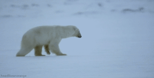 Don't be like this polar bear! If you go in prepared, you'll break that ice with ease. Gif of polar trying, and failing, to break the ice courtesy of: http://www.gifbin.com/bin/072012/1343148079_polar_bear_ice_breaking_fail.gif