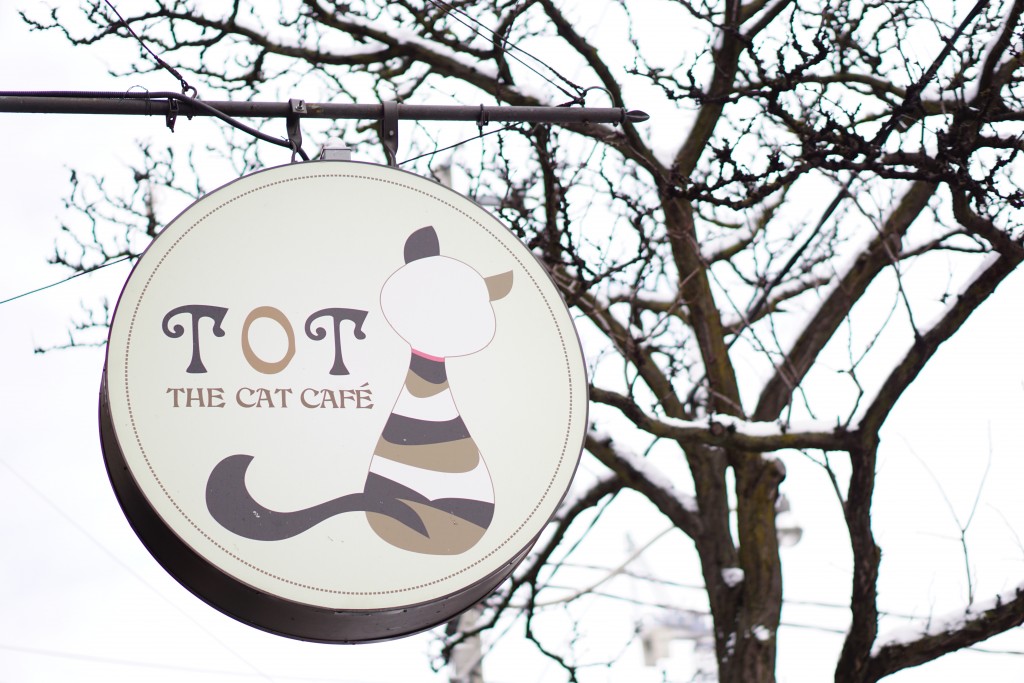 sign reading "tot the cat cafe"