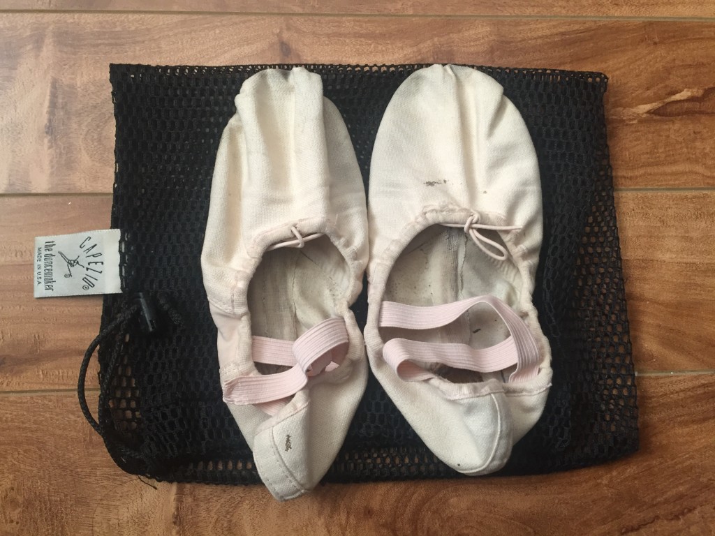 Soft ballet slippers