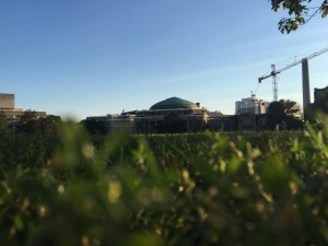 a photo of convocation hall, a large domed building with a green roof and several pillars, against a blue sky with the photo taken from the perspective of the camera lying on the grass pointing towards the building