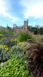 An arrangement of shrubs and flowers partially cover front campus and University College
