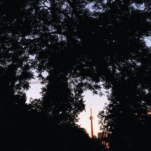 ALT="The CN Tower framed by trees"