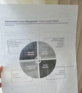 A picture of the career capacity model: identity capacity, psychological capacity, human capacity, social capacity