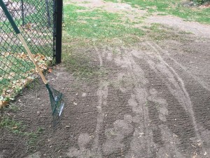 a photo of a green rake leaning against a black chain link fence 