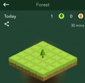 A picture of a green grid with a pine tree in the middle