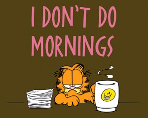 Garfield the cat is shown with coffee and text which reads "I don't do mornings".