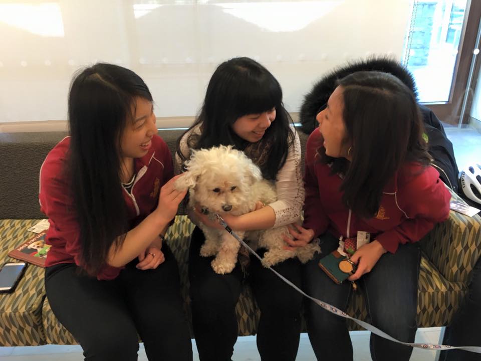 Students with a therapy dog
