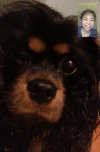 A screenshot of a facetime screen between Emi and her dog.