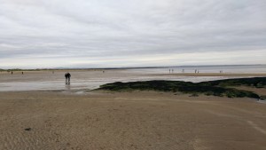 Expansive beach in St. Andrews