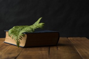 Book with a leaf on it