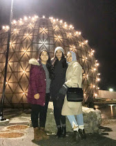 My friends and I at the dome near Ontario Place.