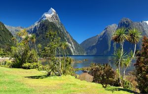 Photo of milford sound volcanos and trees landscape