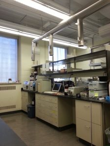 laboratory set up in Lash Miller