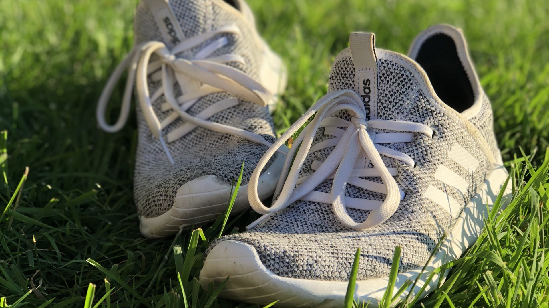 white and grey running shoes laying on grass.