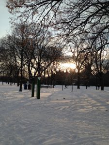 sun setting between trees in Queen's park in the winter time 