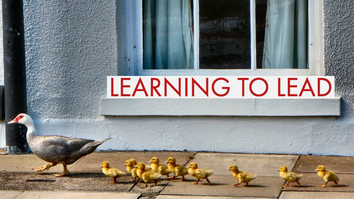 Learning to Lead banner with family of baby ducks following mother duck in the background
