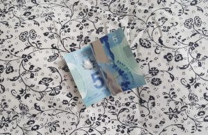 $5 dollar bill