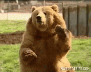 A gif of a big brown bear moving a paw.