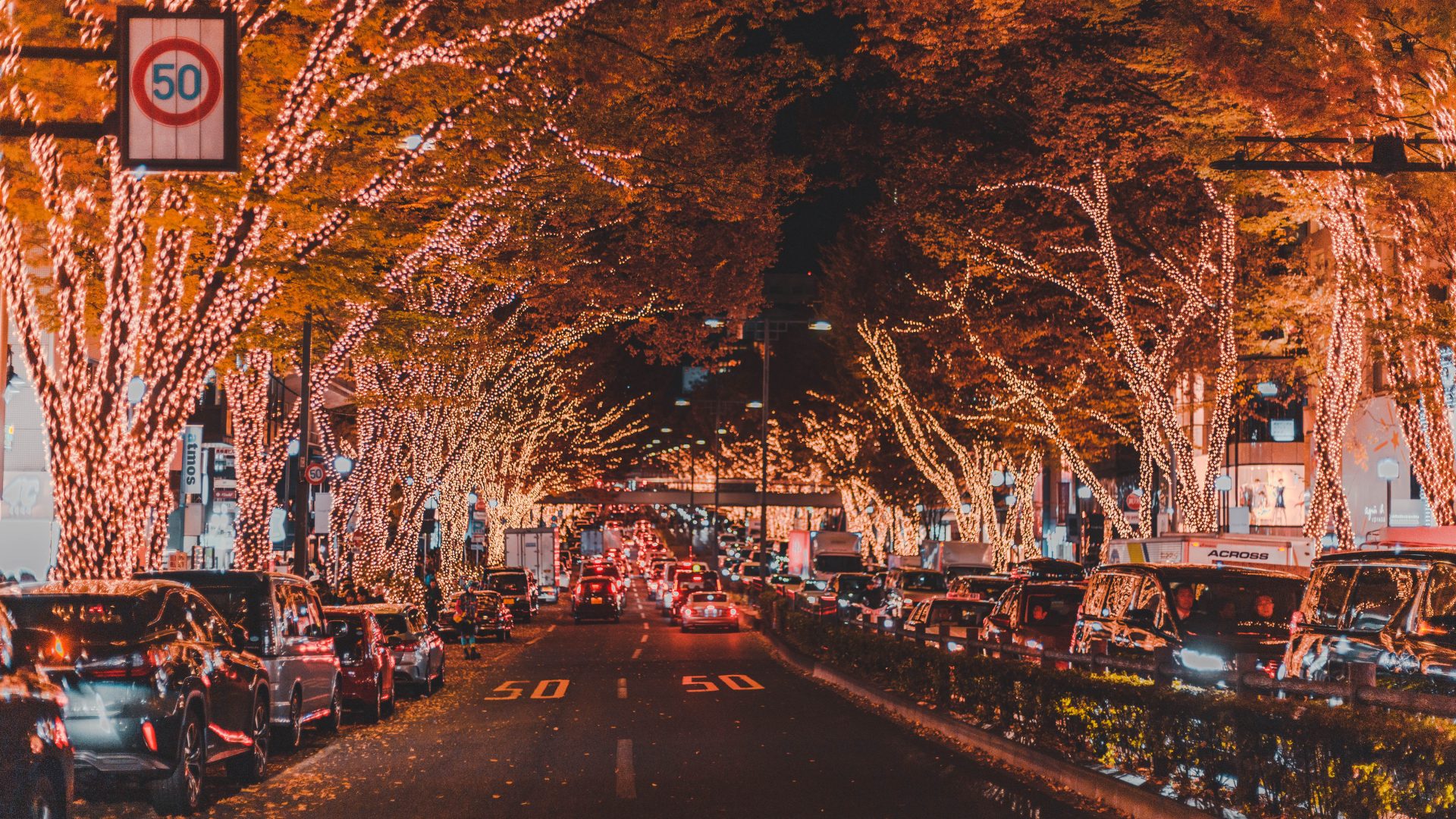Christmas lights lining trees down a long street.