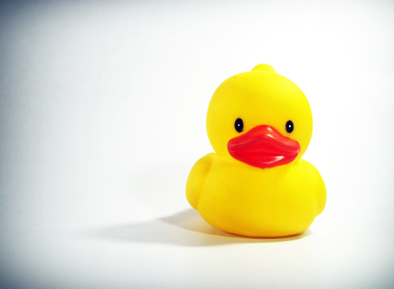 A little rubber ducky. Caption: Fight me. Quack Quack
