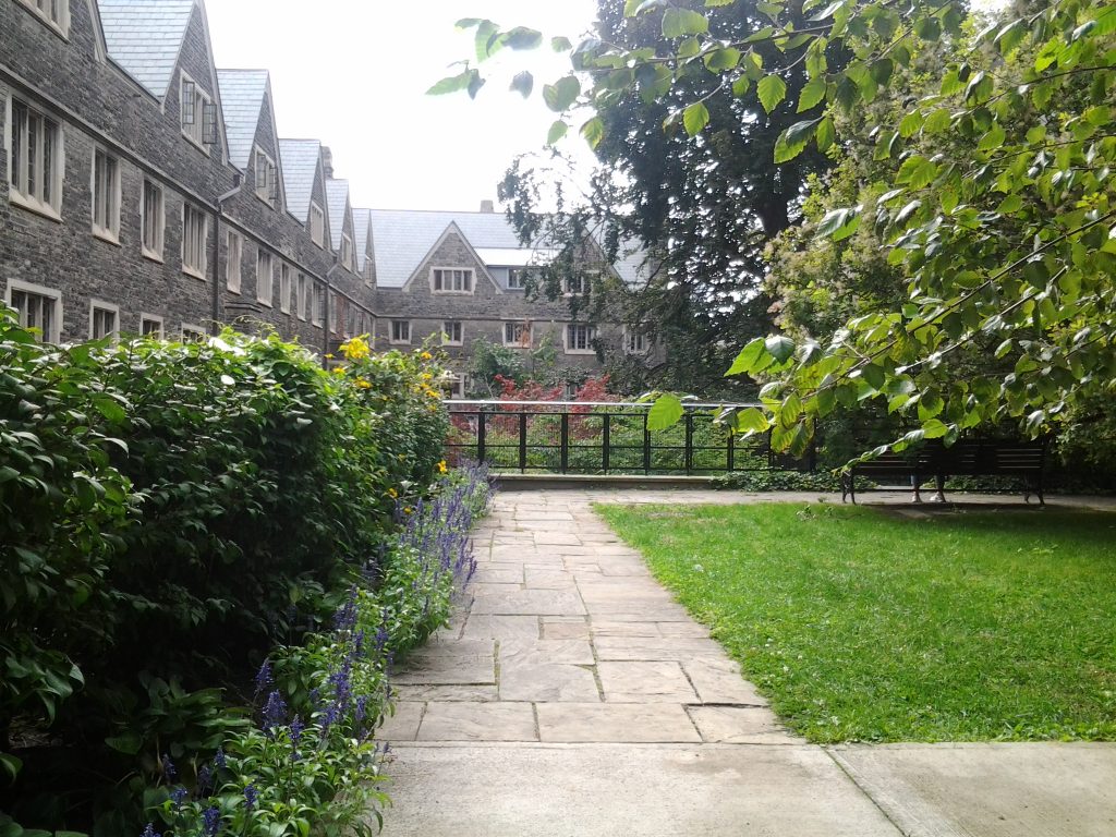 A photo I took of Victoria College during summertime. Caption: Summer on-campus