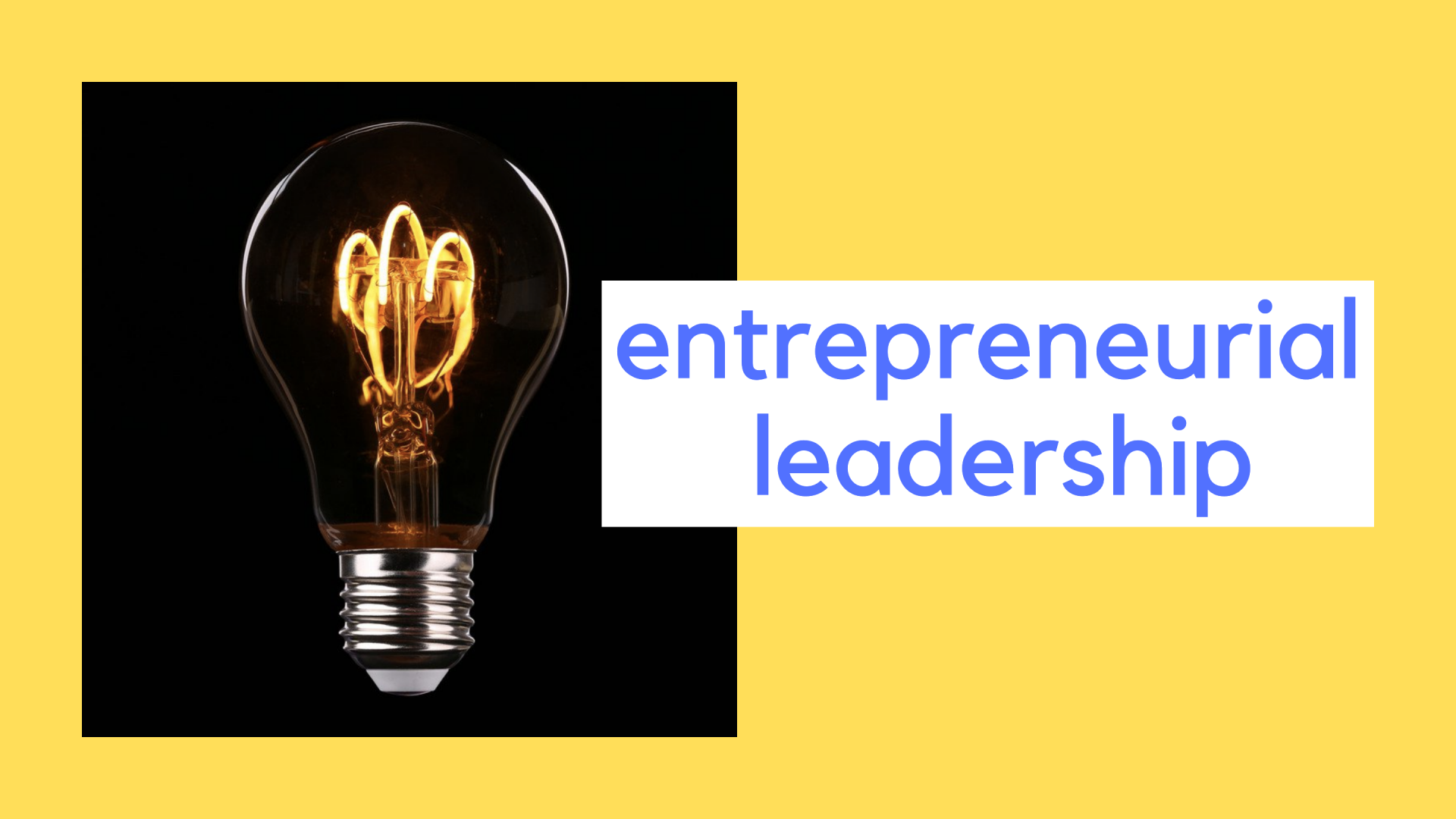 entrepreneurial leadership title with a picture of a lightbulb to the right
