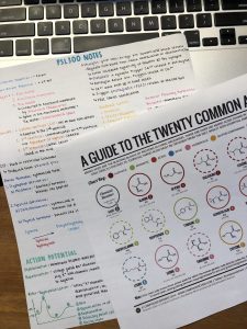 Picture of my PSL300 notes and a guide to the twenty common amino acids 
