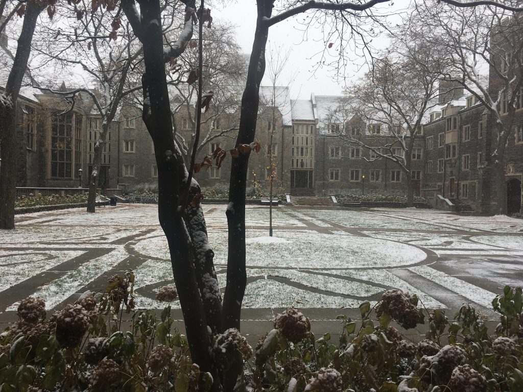 Trinity quad on the first day of snow..
