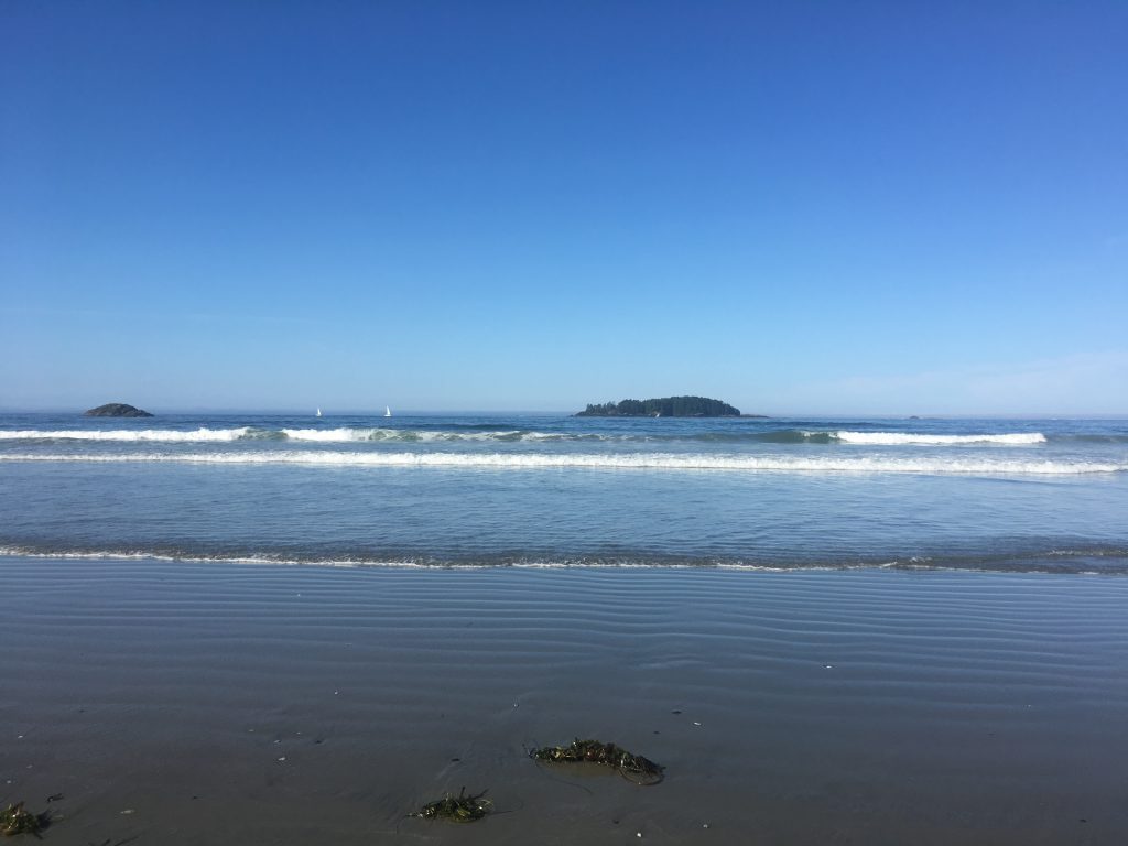 Picture of Tofino beaches and waves