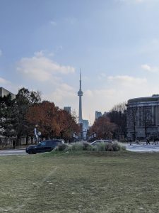 Field with CN Tower in background on sunny day